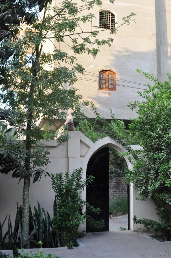El Nakhil Hotel Louxor Extérieur photo