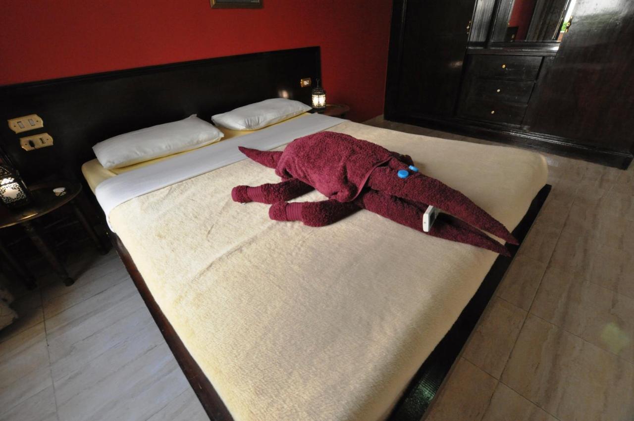 El Nakhil Hotel Louxor Extérieur photo